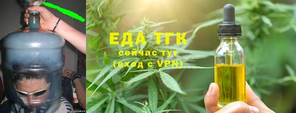 индика Алексин