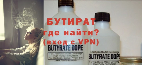 индика Алексин