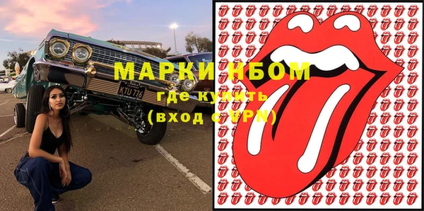 индика Алексин