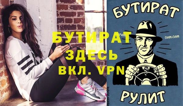 индика Алексин