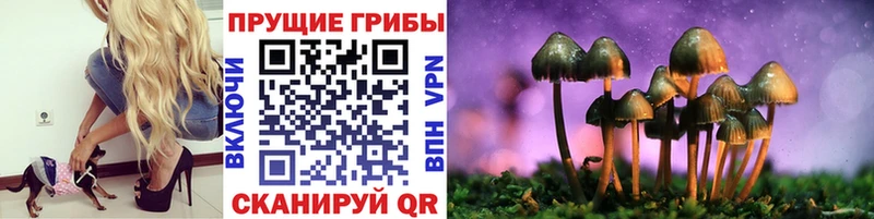 продажа наркотиков  Сельцо  Псилоцибиновые грибы мухоморы 